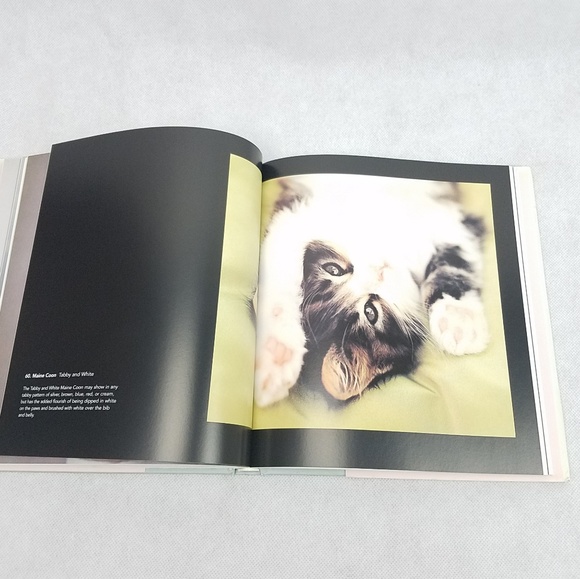 THE CAT'S PAJAMAS Cutest Cats Kitten Book - Picture 4 of 7